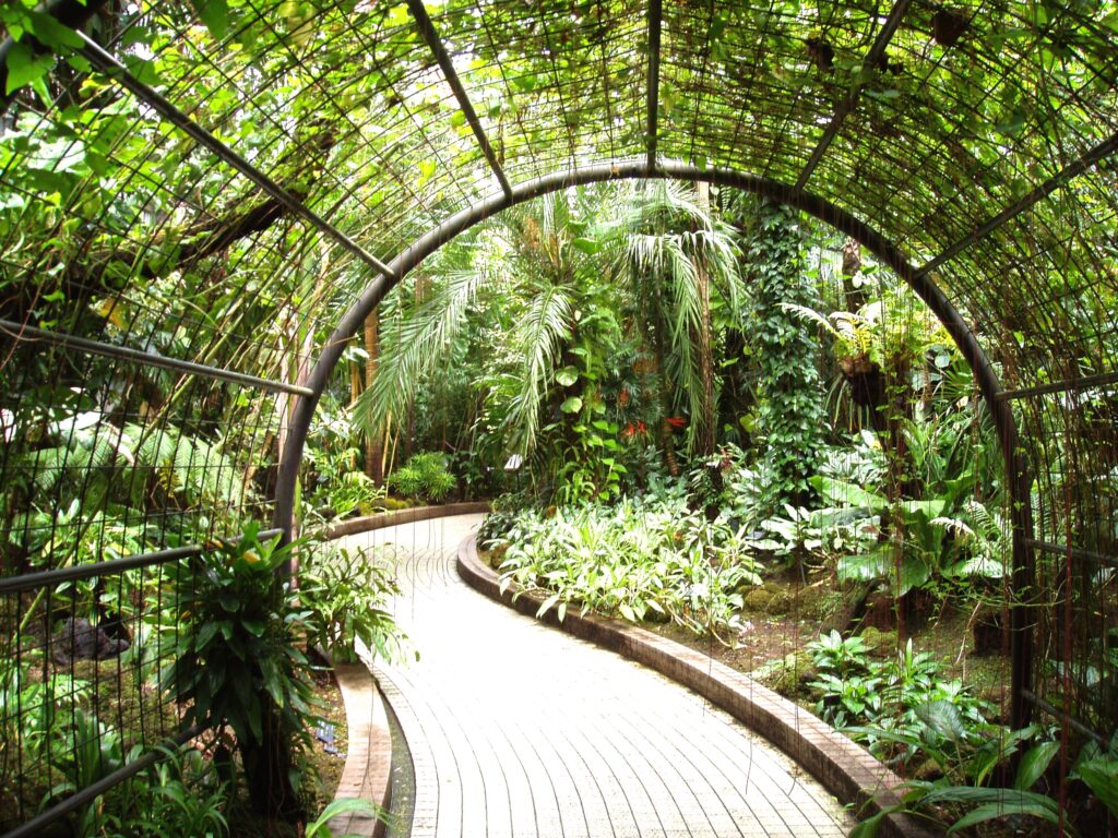 京都府立植物園