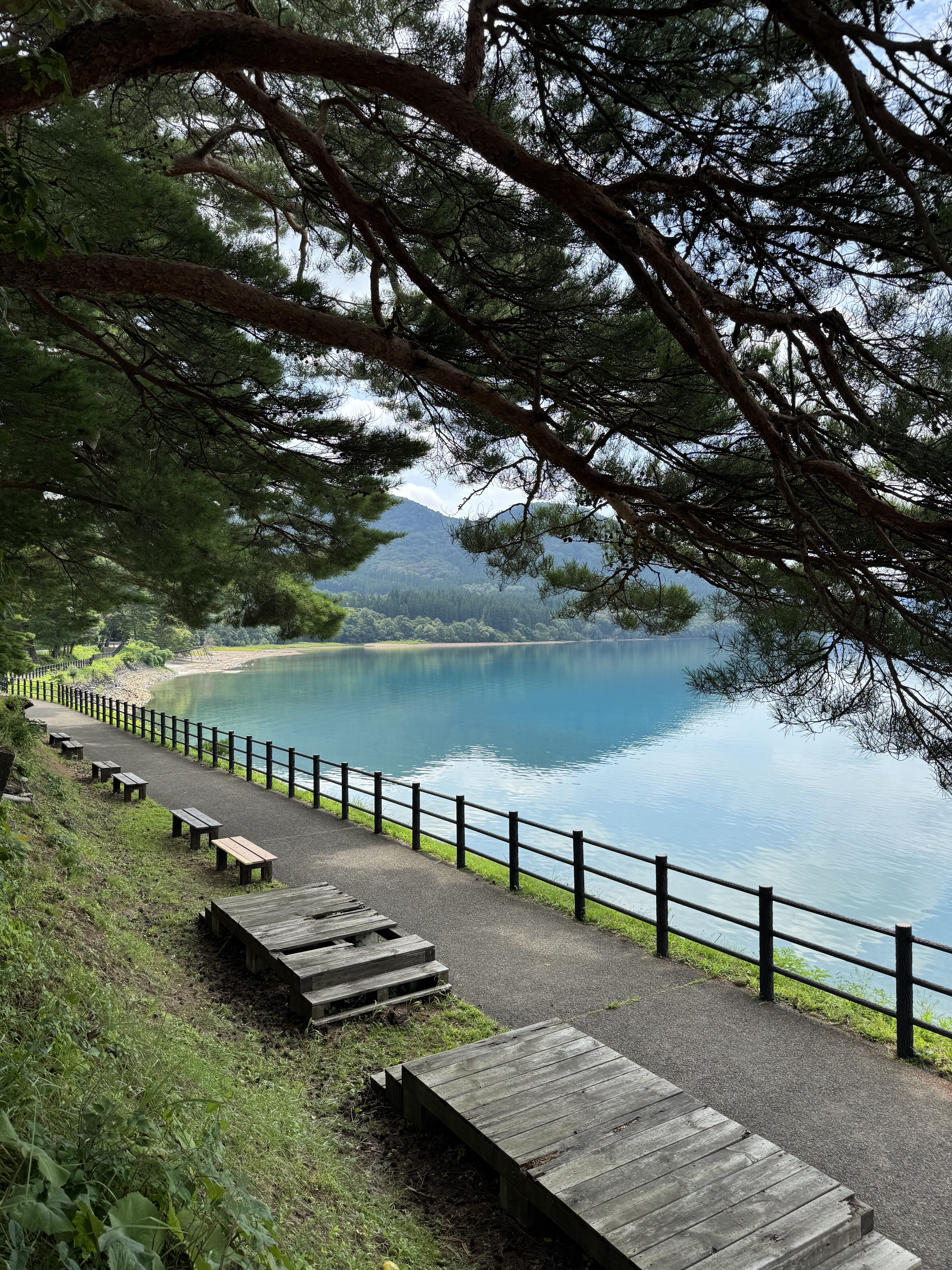 【2026】田沢湖でカップルにおすすめの温泉宿は？受賞宿から絶景レイクビューまで正直比較