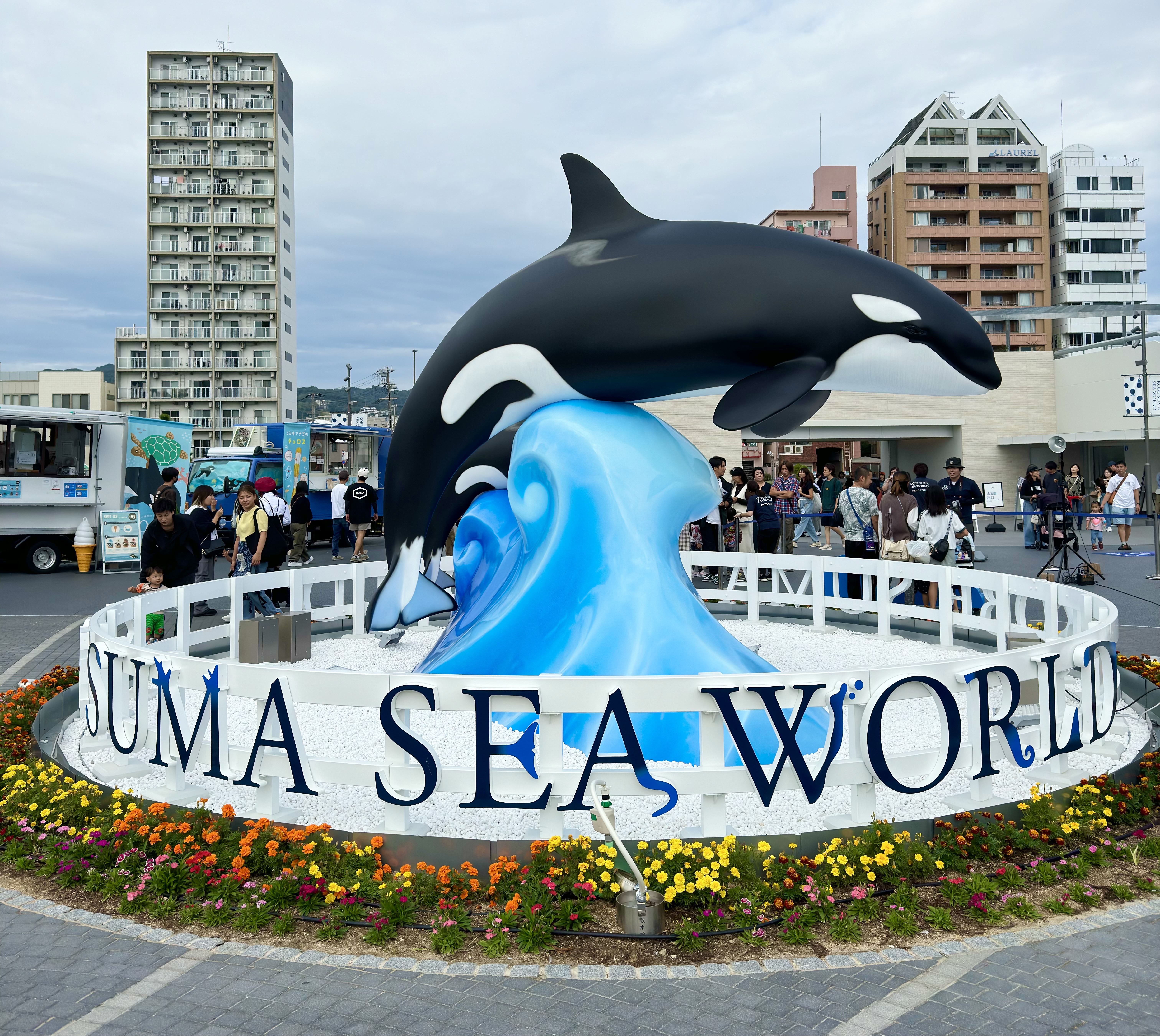 【1泊2日】神戸カップル旅行モデルコース！須磨シーワールド＆ホテル3選